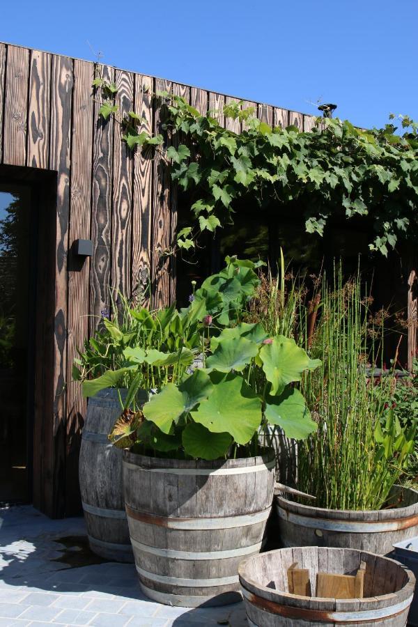 Clos Des Poulies La Ferté-Saint-Aubin Buitenkant foto